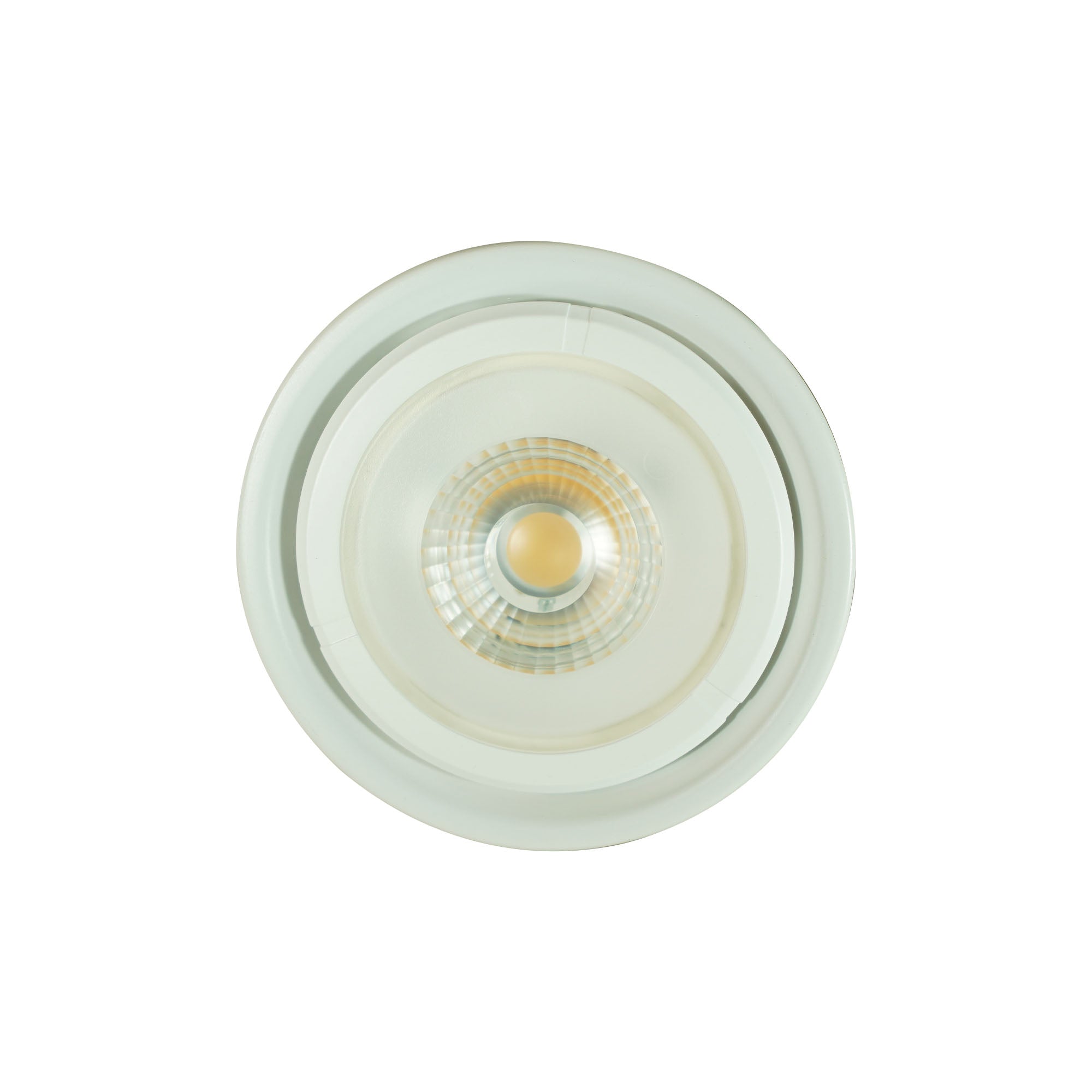 Lámpara PAR 30 LED de Alto Rendimiento para Iluminación Interior, FL-10PAR30.1430D