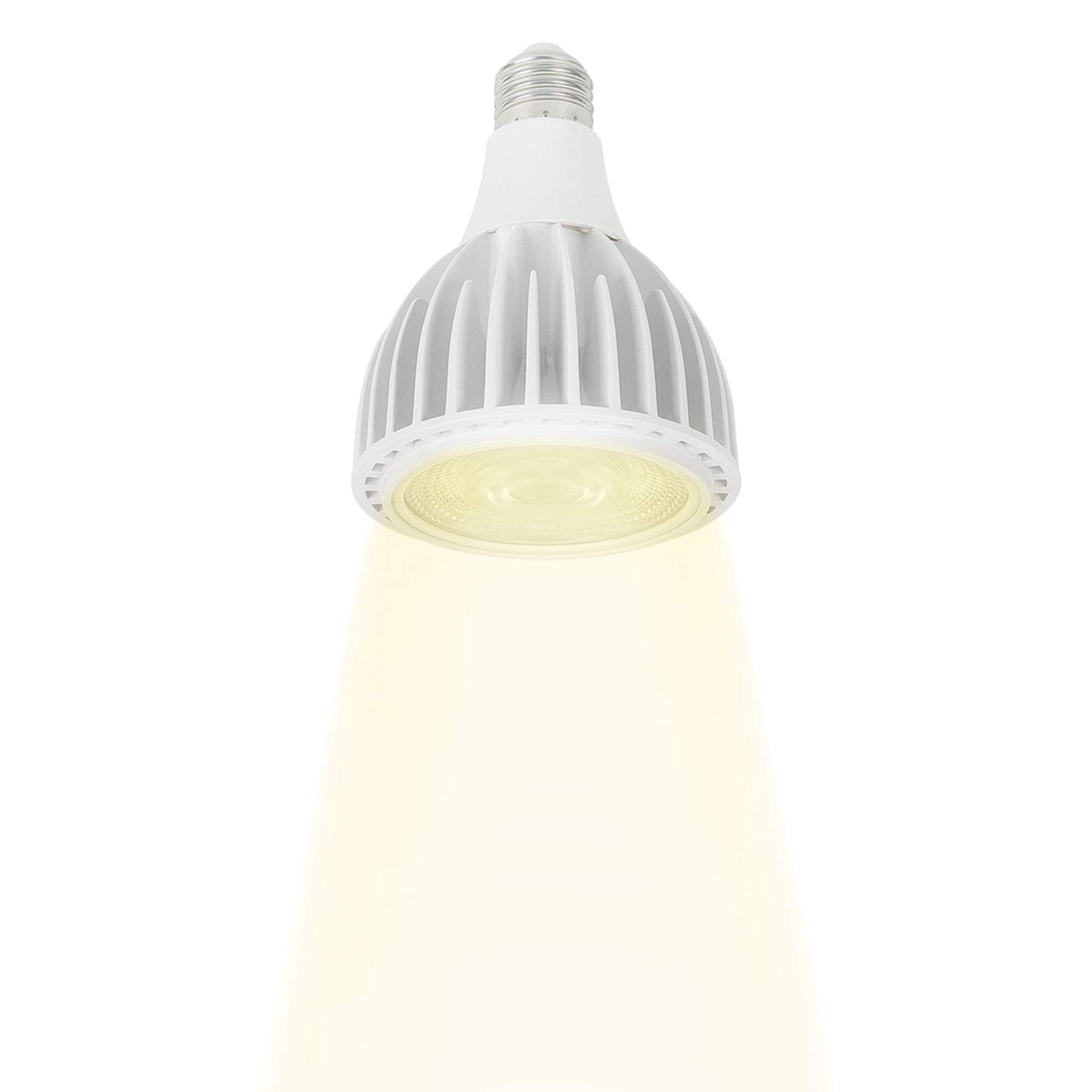 Lámpara PAR30 LED Base E26 FL-10PAR30.28, Illux