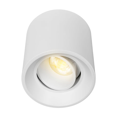 Luminario downlight LED redondo dirigible para sobreponer en techo Modelo TL-2916 Illux